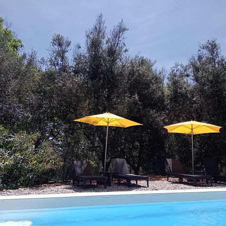 2 Pieces "Le Brin De Soleil" Gites Appart 'Hotel L'Echappee Belle D'Aubenas Logement 1 Sur 3 Exterior foto